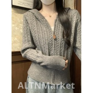 Andy Velvet Twist Hooded Thickened Zipper Sweater Cardigan Coat for Women Early Spring Superior Sense Soft Glutinous Knit Sweater Top